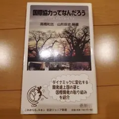 国際協力ってなんだろう 現場に生きる開発経済学
