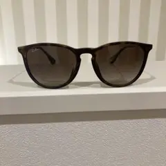 Ray-Ban Erika RB4171-F