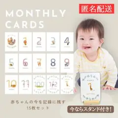 【スタンド付き】マンスリーカード 15枚セット｜記念撮影や成長記録に♪月齢フォト