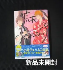 荒天ブラザーシップ　　新品未開封