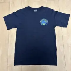 【ヴィンテージ】リムパック2006 限定Tシャツanvil Mサイズ Tシャツ