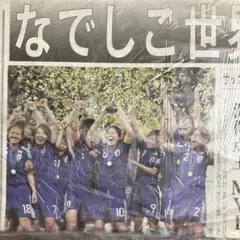 W杯女子サッカーなでしこJAPAN初優勝新聞 なでしこジャパンなでしこJAPAN