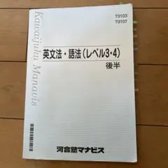 河合塾マナビス　英文法・語法 (レベル3・4)