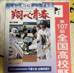 翔べ青春 第107回全国高校野球選手権 千葉大会 出場校紹介 2025