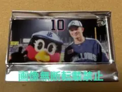 ヤクルトスワローズ 宮本丈(背番号10)アクリルプレート 非売品 1個