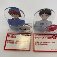 はたらく細胞　チョコエッグB細胞・ナイーブT細胞 アクリルスタンド 2体セット