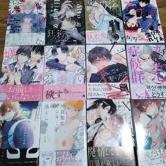 漫画12冊セット/バラ売り可
