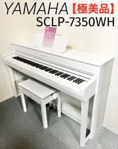 m59234785781_1.jpg?1742393614
