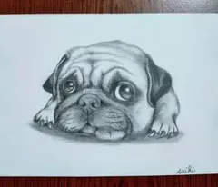 ☆パグ鉛筆画