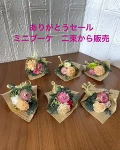 ありがとうセール販売　プリザーブドフラワー&ドライフラワー　ミニブーケ二束から