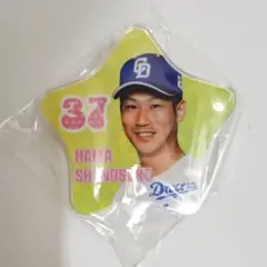 中日ドラゴンズ Dragons 濱将乃介 若竜アクリルバッジ