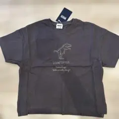 ★新品タグ付き★ BREEZE 恐竜　Tシャツ 120