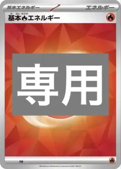 専用