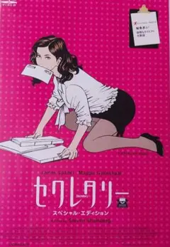 セクレタリー・スペシャルエディション　　動作確認済、送料無料、匿名配送