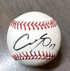 大谷翔平　直筆サイン入　ボール　 ドジャース　野球　プロ野球　ピッチャー　二刀流