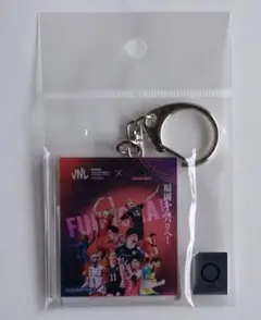 ハイキュー！！　孤爪研磨　バレーボール　キーホルダー　ネーションズリーグ