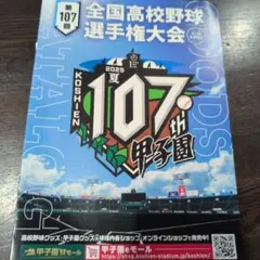 全国高校野球選手権大会 107回 2025年 グッズカタログ