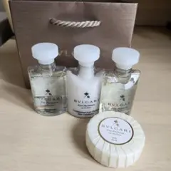 Item thumbnail for item 58c6b82a-e2f3-441d-8ebf-2359ae4b8f8a