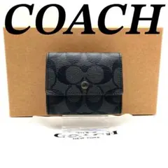 Item thumbnail for item 17e9d733-2c46-454c-8ed9-834311b8fa29