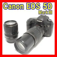 Item thumbnail for item cd90056c-c96f-4e6e-84e4-3d7de0d43d07