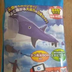 Item thumbnail for item 17a2efb3-a4d7-45f7-af16-16c2468840c2