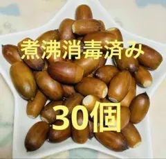 Item thumbnail for item 26be5ce0-ba4d-4d35-b883-72a825f57e8b