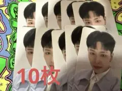 ハル 10枚