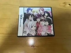 Days of Memories デイズオブメモリーズ DSソフト