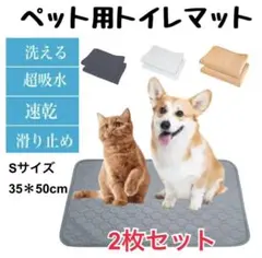 Item thumbnail for item 3552e801-9cf1-4ee8-986a-da70e5db7992