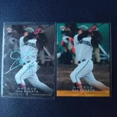 【引退】北海道日本ハムファイターズ 中田翔 ルーキー銀箔サインカード＋レギュラー