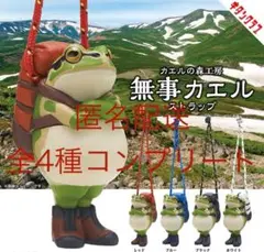 Item thumbnail for item 8a18a11c-f70a-4b44-817d-104937c787c7