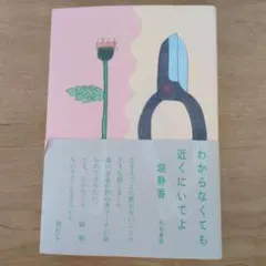 わからなくても近くにいてよ 堀静香