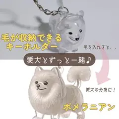 Item thumbnail for item 00de6d4a-856a-4a6c-9b55-5929111398ee
