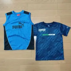 アディダス　チャンピオン　150　２枚セット