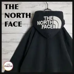 【レア】THE NORTH FACE♡リアビューフルジップパーカー 1043