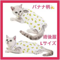 Item thumbnail for item 013e2b22-5ace-4218-98a5-62b6ffad678b