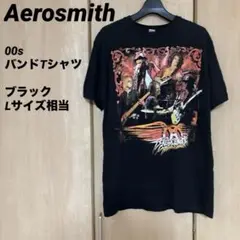 Aerosmith エアロスミス 00s 2009 バンド Tシャツ ブラック