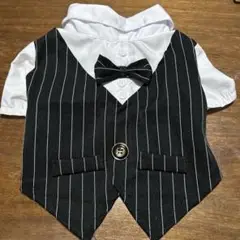 Item thumbnail for item 90bc5024-9e5c-49a9-9a96-625da2693036