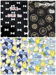 Item thumbnail for item 3b19fa0e-d76a-4ab8-b4cb-1c96dcea8bfd