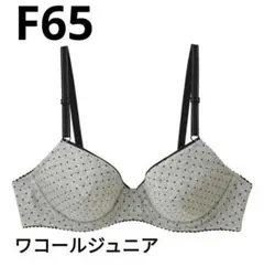 ワコールジュニア＊F65＊安定感あるつけごこち｜Ｕ字樹脂ワイヤー【ＳＴＥＰ３】