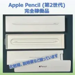 Apple Pencil (第2世代) 完全稼働品