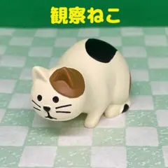 デコレ　コンコンブル　観察猫