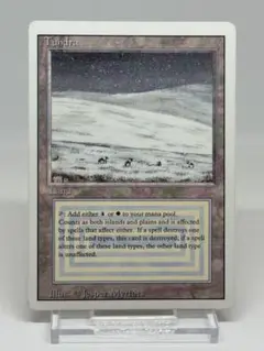 Tundra mtg デュアルランド Amazon.co.jp: MTG 超希少 レアカード フランス語 版 3ED