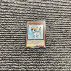 レスキューキャット