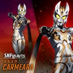 2025年最新】s.h.figuarts カルミラの人気アイテム - メルカリ