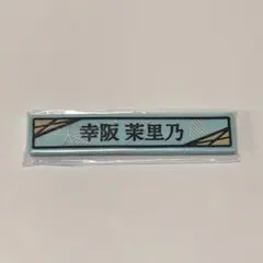 Item thumbnail for item 420b2310-3fa4-4e0d-9cb9-0e99b62418df