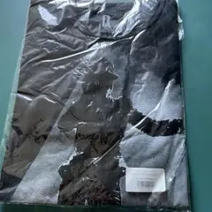 倉木麻衣　OVER THE RAINBOWツアー ファイナル　Tシャツ
