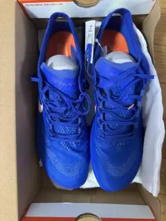 NIKE ZOOMX DRAGONFLY 29cm