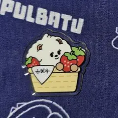 TXT ご当地プルバトゥ 福岡 バムグッ