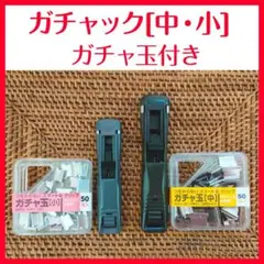 Item thumbnail for item 1266f373-e3c6-4e91-98d3-871204c88369